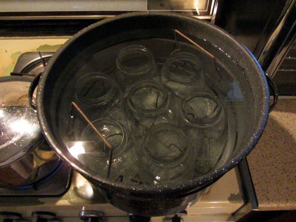 Medium canner crop Sept 2025.jpg
