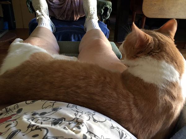 Sitting in fan and AC crop July 2025.jpg