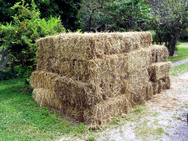 Mulch - 40 bale pile crop August 2025.jpg