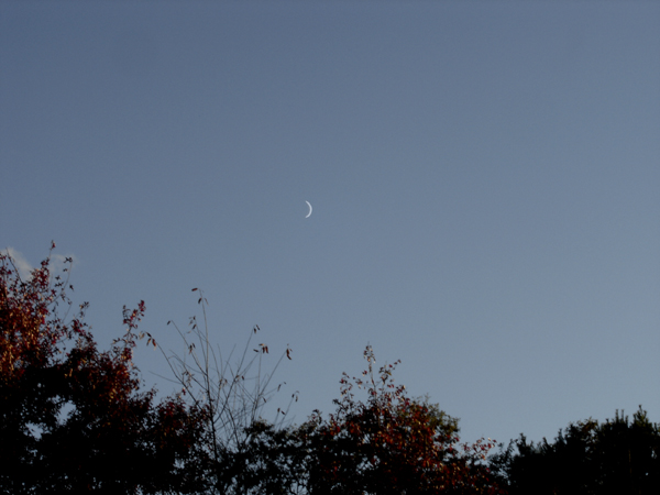 Moonrise crop Oct 2025.jpg