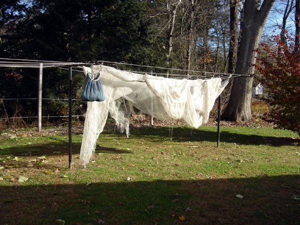 Netting on clothesline crop Nov 2025.jpg