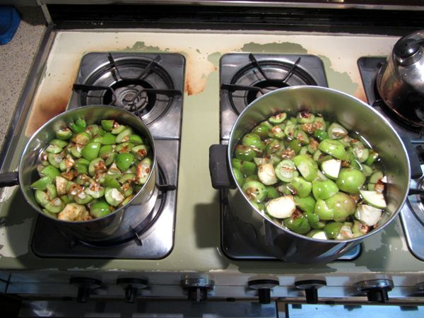 Green quince and apples for pectin crop August 2025.jpg