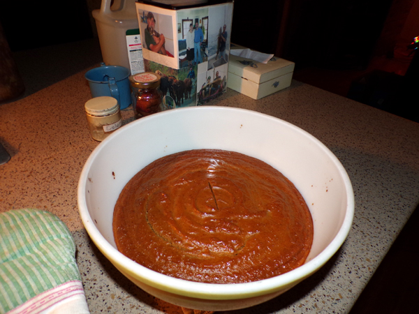 Pumpkin pudding crop Nov. 2022.jpg