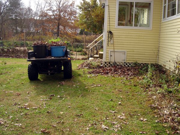 Gator with leaf load crop Nov 2025.jpg