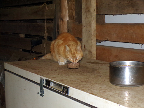 Dennis at breakfast crop May 2024.jpg