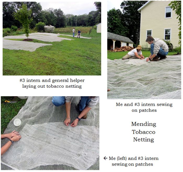 Mending netting collage text crop August 2025.jpg