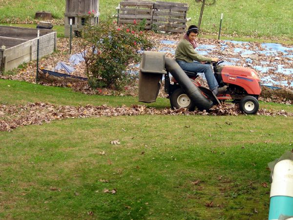 Arissa mowing up leaves crop Oct 2025.jpg