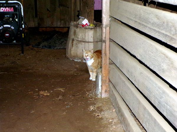 Dennis wanting breakfast crop May 2024.jpg