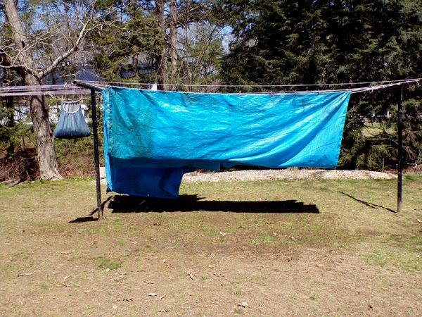 Last of tarps washed crop April 2024.jpg