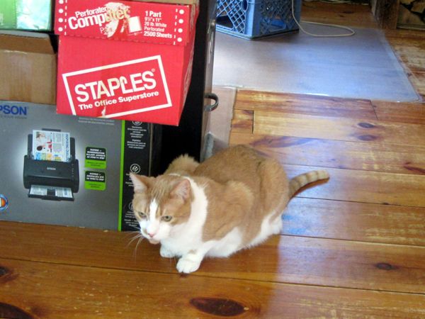 Shelf repair inspector crop Oct 2025.jpg
