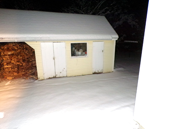 All white crop Dec. 2022.jpg