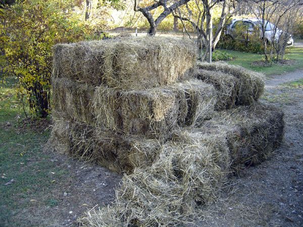 20 more bales crop Oct 2025.jpg