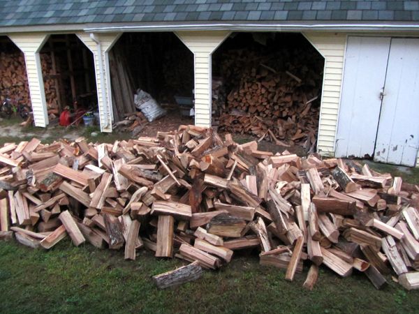 Last load for the shed crop Sept 2025.jpg