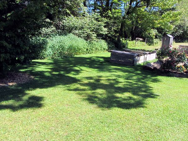 Yard mowed crop August 2025.jpg