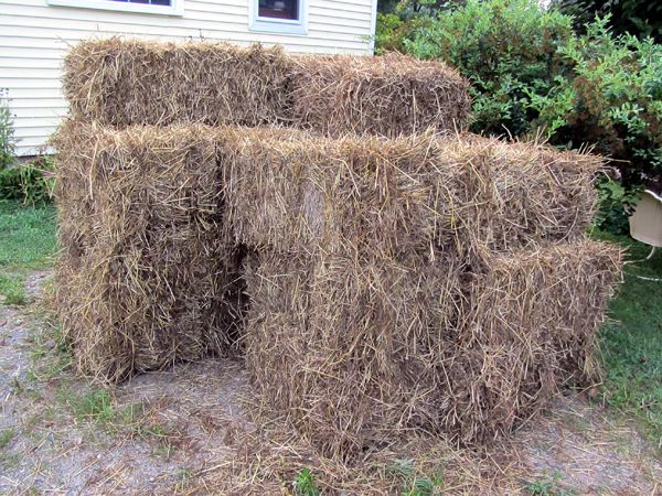 Mulch 2nd 20 in driveway crop August 2025.jpg