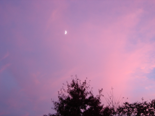 Moonrise sunset crop Oct 2025.jpg