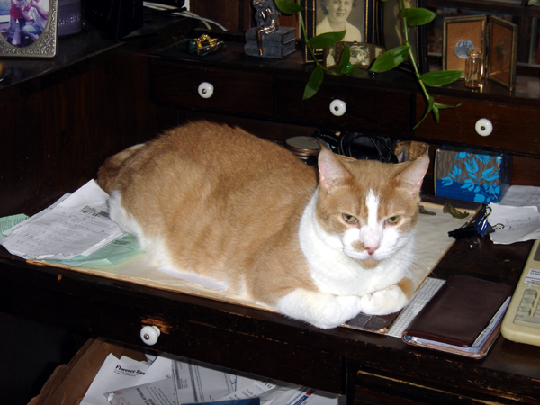 Job supervisor crop Oct 2025.jpg