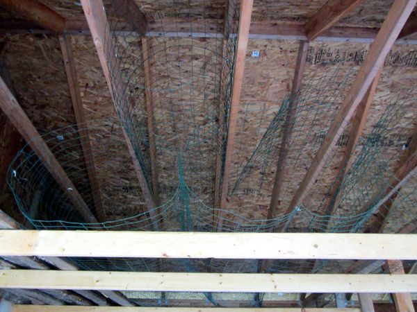 Tree cages in woodshed loft crop May 2025.jpg