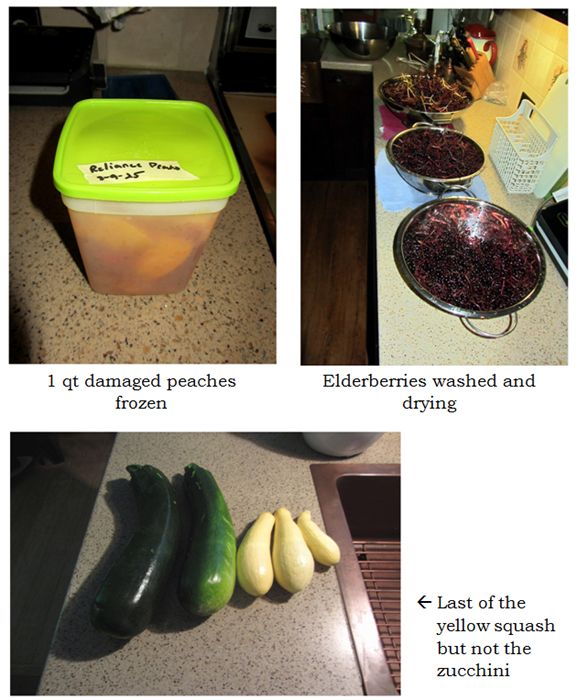 Saturday harvest text crop August 2025.jpg