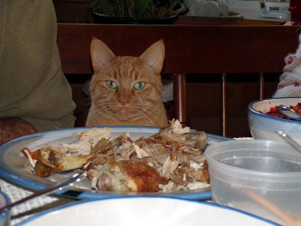 Thanksgiving - Orange at table1 crop Nov. 2022.jpg