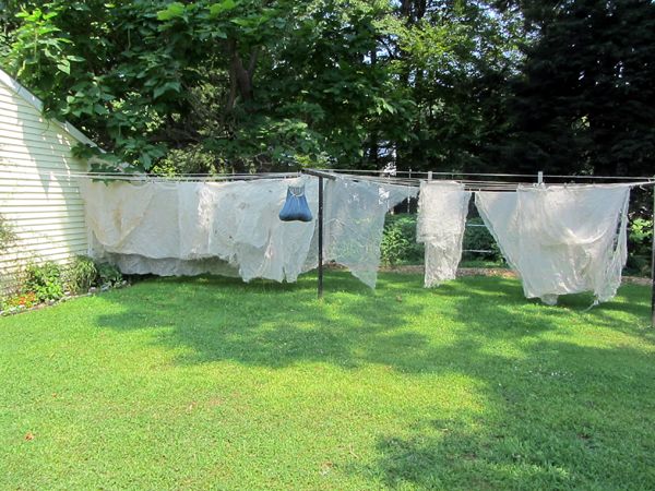 Netting - rest of patches hung up crop August 2025.jpg
