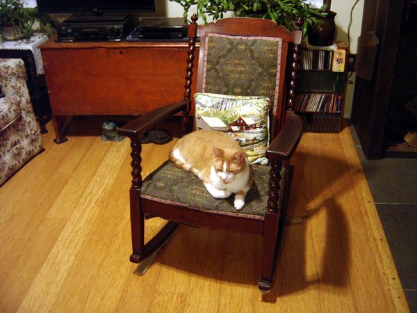 Larry in mahogany rocker crop Oct 2025.jpg