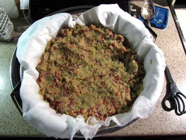 Pectin - draining mash crop August 2025.jpg