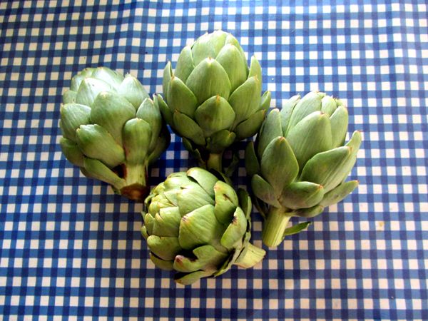 Harvest - artichokes crop August 2025.jpg