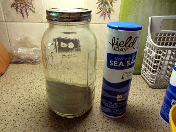 Celery salt crop August 2025.jpg