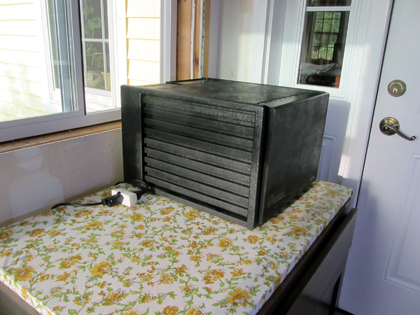 Dehydrator ready crop Sept 2025.jpg