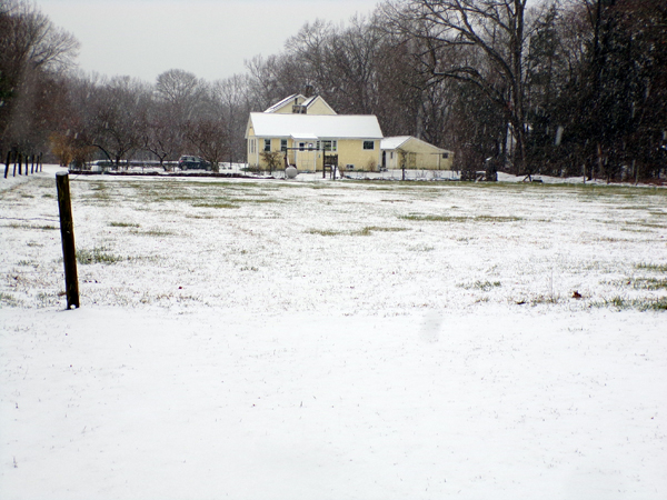 Sleet storm - house and middle pasture crop April 2024.jpg