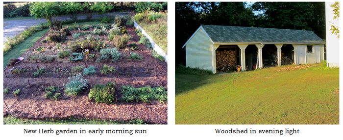 Yard collage text crop Sept 2025.jpg