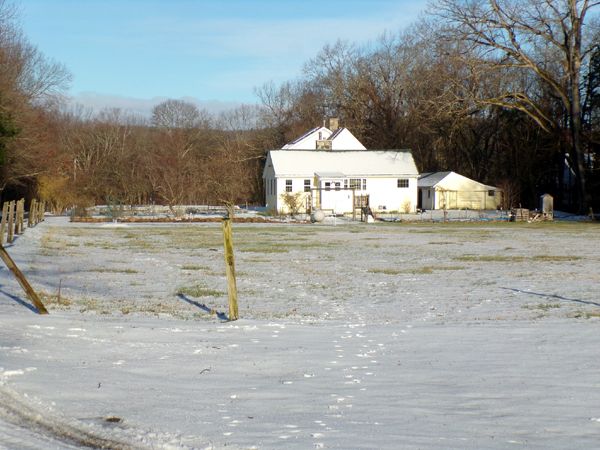 Tracks in middle pasture crop April 2024.jpg