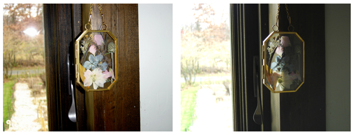 Pressed flower event collage3 crop Nov 2025.jpg