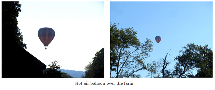 Hot air balloon collage text crop August 2025.jpg