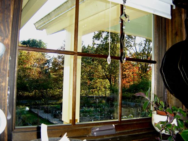 View out clean window crop Oct 2025.jpg