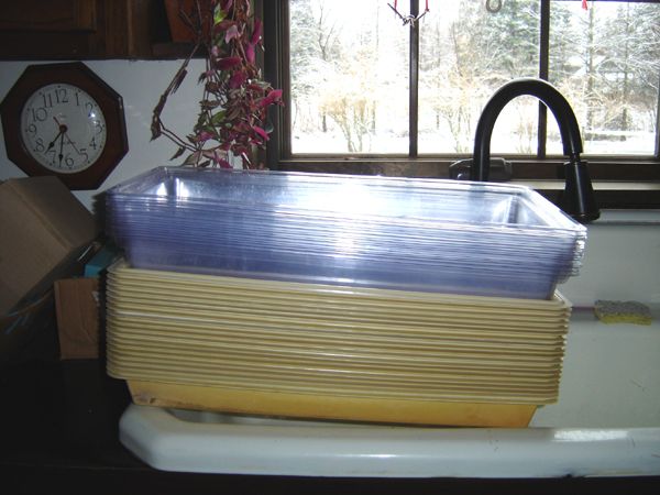Washed trays and covers crop April 2025.jpg