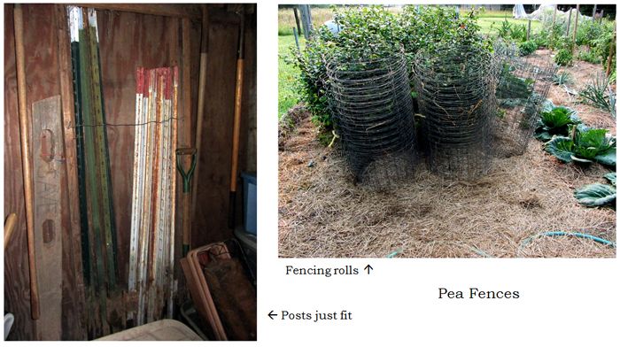Pea fencing collage text crop August 2025.jpg