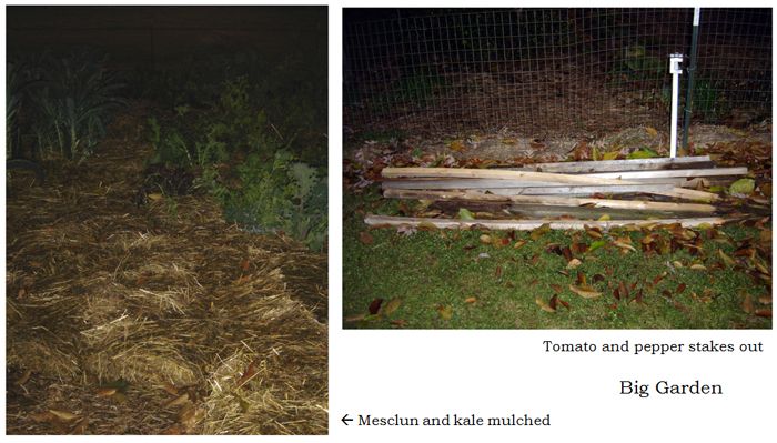 Big garden - more mulching collage text crop Nov 2025.jpg