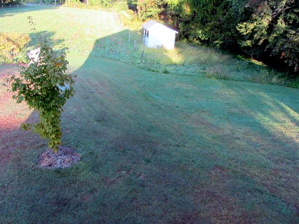 Lawn mowed crop Sept 2025.jpg