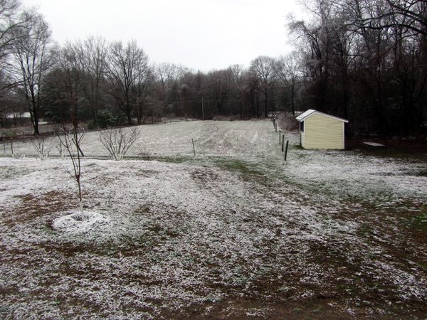 More snow1 crop April 2025.jpg