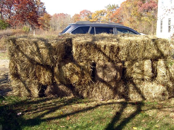 Mulch - 20 more bales crop Oct 2025.jpg