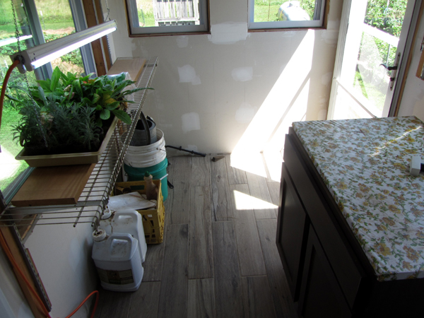 Back porch - seedlings moved crop August 2025.jpg
