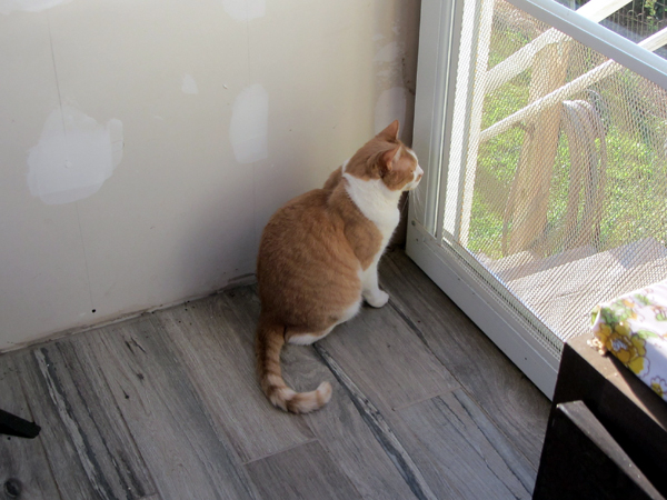 Bird watcher crop Sept 2025.jpg