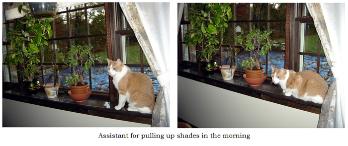 Assistant shade puller collage text crop Oct 2025.jpg