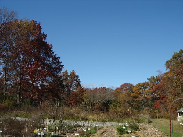 Another gorgeous autumn day crop Oct 2025.jpg