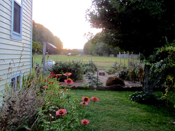 Sunrise crop Sept 2025.jpg