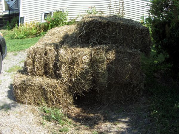 Mulch - 20 more bales crop July 2025.jpg