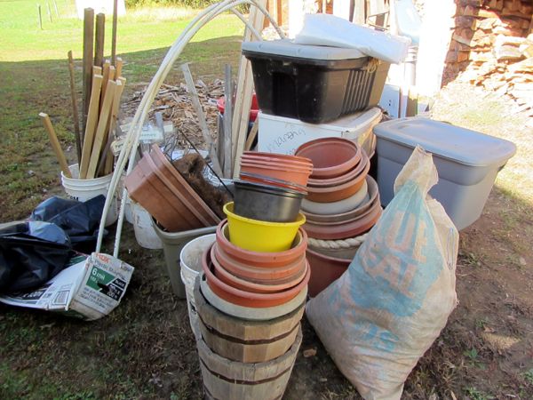 Mess from garden shed crop Oct 2025.jpg