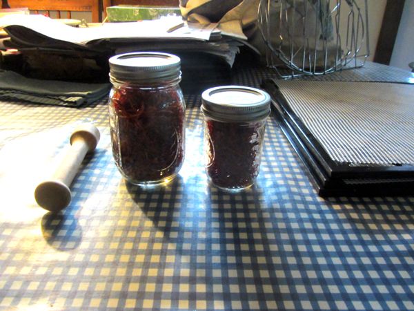 Paprika 1.5 pints crop Sept 2025.jpg